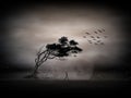 Tree silhouette and flock of birds flying away in the evening. Lonely thoughtful man walking against an isolated dark tree.