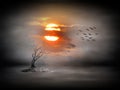 Tree silhouette and flock of birds flying away during sunset. Royalty Free Stock Photo