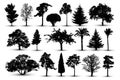 Tree Silhouette, Forest Vector. Nature Park. Isolated Set, Tree On White Background.