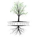 Tree silhouette with green leaves and root. Ecology and nature concept. Vector illustration isolated on white Royalty Free Stock Photo