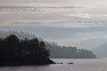 Tree silhouette by the lake