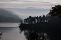 Tree silhouette by the lake