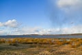 Tree silhouette on lake shore, meadow and green field in early spring sunset, rain clouds forming on horizon Royalty Free Stock Photo