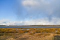 Tree silhouette on lake shore, meadow and green field in early spring sunset, rain clouds forming on horizon Royalty Free Stock Photo