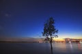 The Tree silhouette leaning over lake in Surin