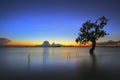 The Tree silhouette leaning over lake in Surin