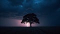 Tree Silhouette Lightning Strike Night Field Royalty Free Stock Photo