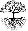 Tree silhouette with root Royalty Free Stock Photo