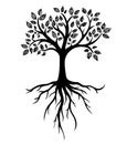 Tree silhouette with roots, real hand drawing. Vector Illustration