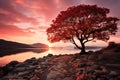 Tree silhouette in serene dawn., generative IA
