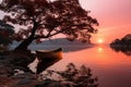 Tree silhouette in serene dawn., generative IA
