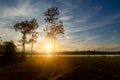 Tree silhouette sunset and cloudy landscape Royalty Free Stock Photo