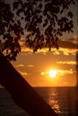 Tree Silhouette at Sunset over Lake on Holiday Vacation Royalty Free Stock Photo