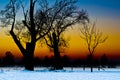 Tree Silhouette at Sunset in a Snowy Landscape Royalty Free Stock Photo