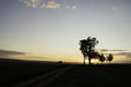 Tree silhouette in sunset with a wayside cross with field and road. Calvary in landscape. Olomouc Czech Republic Royalty Free Stock Photo