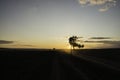 Tree silhouette in sunset with a wayside cross with field and road. Calvary in landscape. Olomouc Czech Republic Royalty Free Stock Photo
