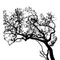 tree silhouette