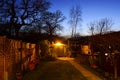 Tree Silhouette and Twilight Garden