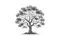Tree silhouette vector art illustration eps Royalty Free Stock Photo