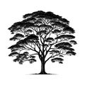 Tree silhouette vector icon isolated on a white background