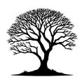 Tree silhouette vector illustration on white background Royalty Free Stock Photo