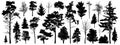 Tree silhouette vector. Isolated forest trees on white background Royalty Free Stock Photo