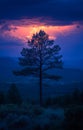 A tree is silhouetted against a dark sky with a bright lightning bolt Royalty Free Stock Photo