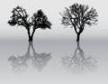 Tree silhouettes