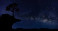 Tree silhouettes on the night,Panorama blue night sky milky way and star on dark background. Royalty Free Stock Photo