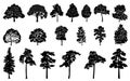 Tree silhouettes set. Deciduous and coniferous trees. Royalty Free Stock Photo