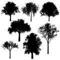 Tree silhouettes