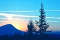 Tree silhouettes in the sunrise mountains. amazing nature and landscapes