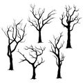 Tree Silhouettes