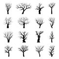 Tree silhouettes. Winter tree branches dead autumn plants trunks vector illustrations Royalty Free Stock Photo