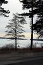 Tree Silhouttes and Sunset during Winter in Finland