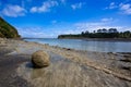 Tree sisters beach, New Zealand Royalty Free Stock Photo