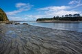 Tree sisters beach, New Zealand Royalty Free Stock Photo