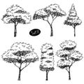 Tree Sketch hand drawn architect Royalty Free Stock Photo