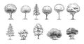 Tree Sketch : Set of hand drawn architect trees. Sketch Architectural illustration landscape