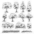 Hand drawn sketch architect trees Royalty Free Stock Photo