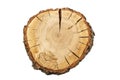 Tree slice cross section with tree rings that show the age of an organic background isolated stump circle circles circular natural Royalty Free Stock Photo