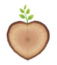 Tree Slice Sprout Branch Heart Shaped Love Nature