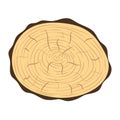 Tree slice vector