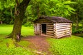 Tree and small log cabin at Cade's Cove, Great Smoky Mountains N Royalty Free Stock Photo