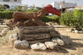 Wood snags in the landscape design of the Park