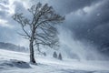 Tree in Snow Blizzard Royalty Free Stock Photo