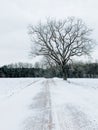 Tree and snow covered country road in winter, York County, Pennsylvania Royalty Free Stock Photo