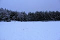 Tree on snow covered land Royalty Free Stock Photo