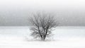Snow minimal and tree