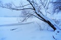 Tree in snow near the frozen river Royalty Free Stock Photo